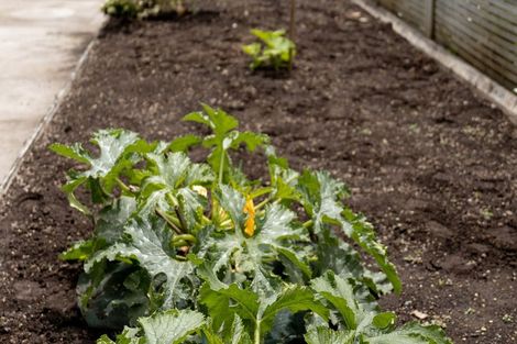 Photo of property in 20 Parkland Rise, Omokoroa, 3114