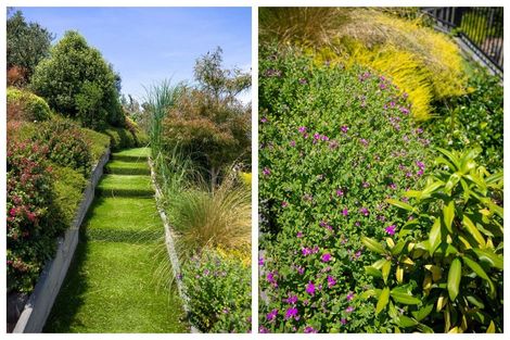 Photo of property in 3 Kissling Terrace, Pyes Pa, Tauranga, 3112