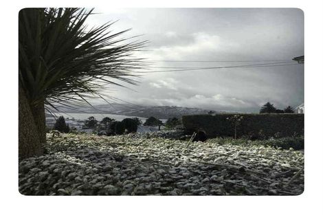 Photo of property in 22 Erin Street, Roslyn, Dunedin, 9010