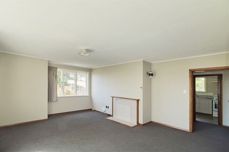 Photo of property in 42 Canada Street, Watlington, Timaru, 7910