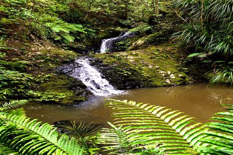 Photo of property in 295 Prescott Road, Ruakaka, Whangarei, 0171