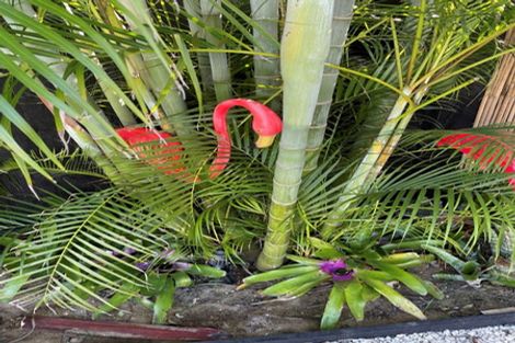 Photo of property in 2 Taimoana Close, Mangawhai Heads, Mangawhai, 0505