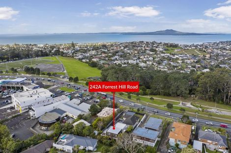 Photo of property in 242a Forrest Hill Road, Forrest Hill, Auckland, 0620
