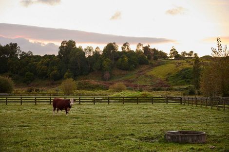 Photo of property in 56e Te Puna Road, Te Puna, Tauranga, 3174