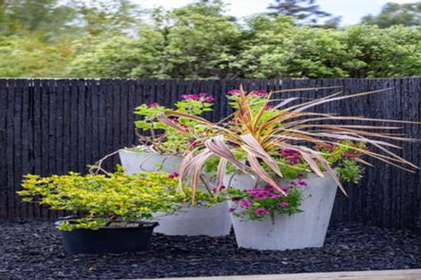 Photo of property in 24a Morris Road, Hillcrest, Hamilton, 3216