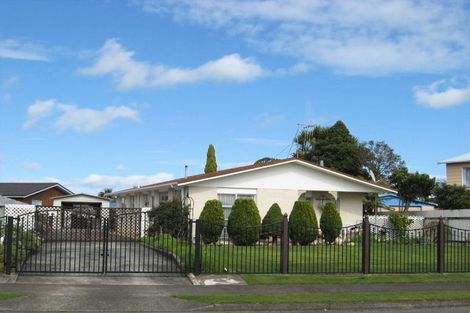 Photo of property in 16 Martin Harvey Street, Levin, 5510