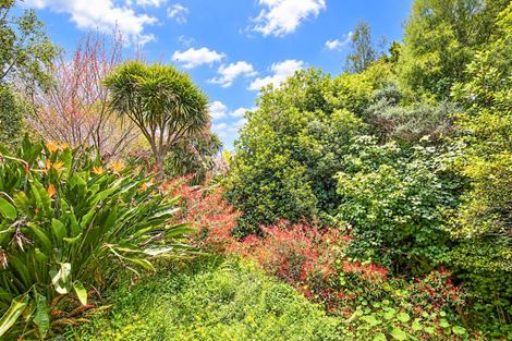 Photo of property in 61 Waikawau Valley Road, Kereta, Thames, 3575