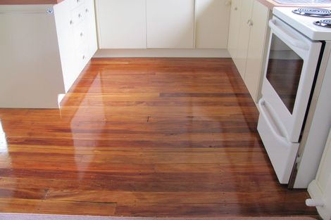 Photo of property in 147 Evans Street, Opoho, Dunedin, 9010