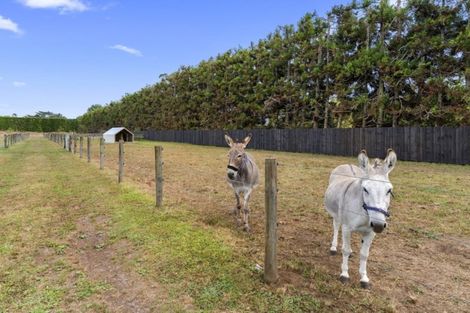 Photo of property in 102 Boord Crescent, Kumeu, 0891