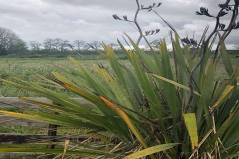 Photo of property in 65 Paetai Road, Ohinewai, Huntly, 3771