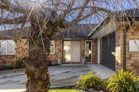 Photo of property in 6 Tavera Street, Blenheim, 7201