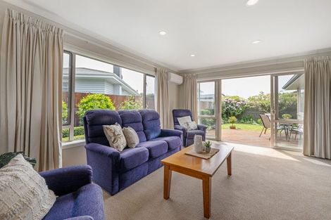 Photo of property in 155a Weld Street, Witherlea, Blenheim, 7201