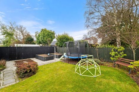 Photo of property in 50 Condell Avenue, Papanui, Christchurch, 8053