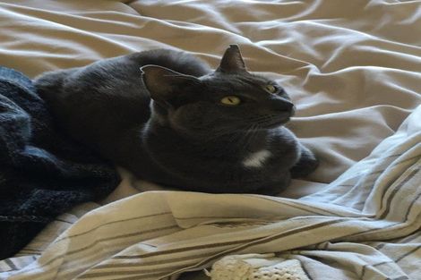 Photo of property in 46 Corbetts Road, Manakau, Otaki, 5583