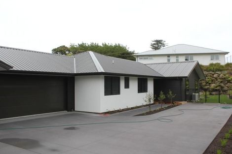 Photo of property in 23b Sycamore Grove, Lower Vogeltown, New Plymouth, 4310