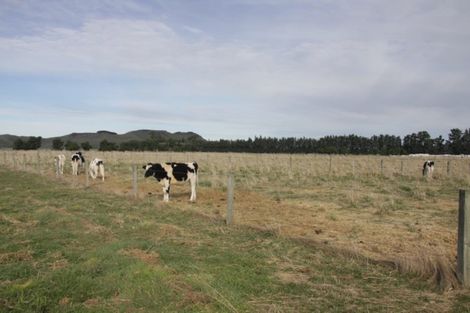 Photo of property in 250 Browns Rock Road, Burnt Hill, Oxford, 7495