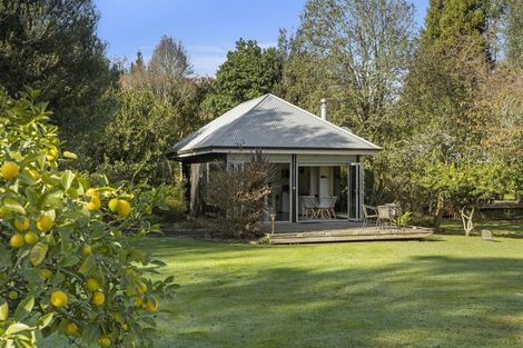 Photo of property in 441 Pukekauri Road, Waihi, 3682