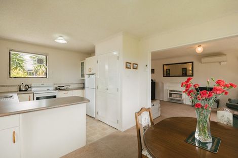 Photo of property in 4 Mcarthur Street, Terrace End, Palmerston North, 4410