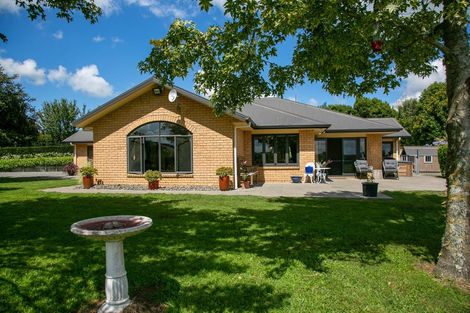 Photo of property in 371 Pukemoremore Road, Tauwhare, Cambridge, 3493