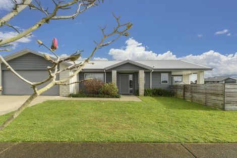 Photo of property in 50 Penetaka Heights, Pyes Pa, Tauranga, 3112
