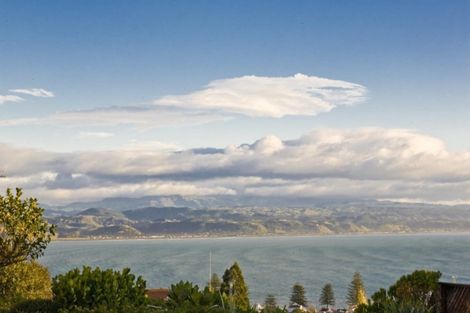 Photo of property in Mchardy Homestead, 11 Bracken Street, Hospital Hill, Napier, 4110