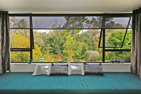 Photo of property in 45 Puflett Road, Havelock North, 4130