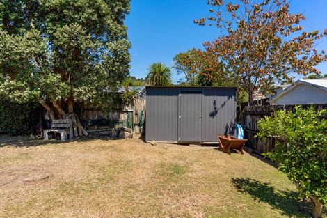 Photo of property in 106 Mckellar Place, Whangamata, 3620