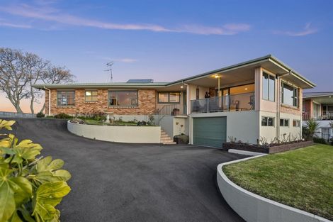 Photo of property in 39 Vine Avenue, Maungatapu, Tauranga, 3112