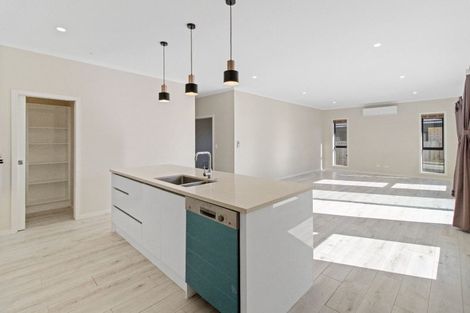 Photo of property in 16 Faber Place, Rototuna North, Hamilton, 3210