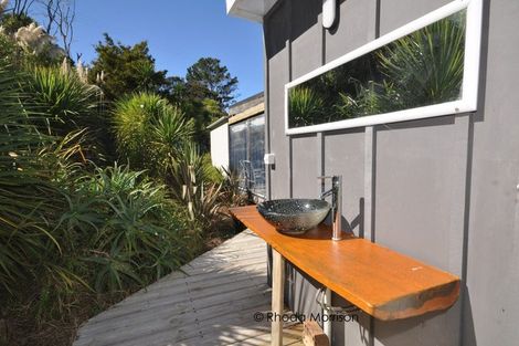 Photo of property in 76 Komiti Road, Tinopai, 0593