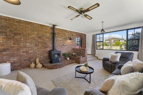 Photo of property in 32 Wicklow Street, Cromwell, 9310