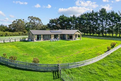 Photo of property in 205 Clarks Beach Road, Clarks Beach, Pukekohe, 2679