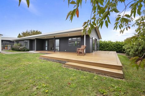 Photo of property in 11 Wescombe Grove, Feilding, 4702