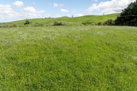 Photo of property in 70 Tirohanga Road, Rotoorangi, Cambridge, 3495