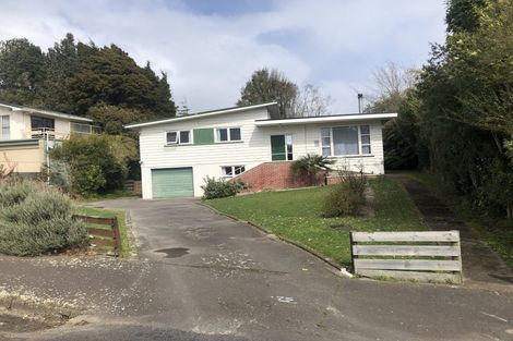 Photo of property in 60 Wakeman Street, Pahiatua, 4910