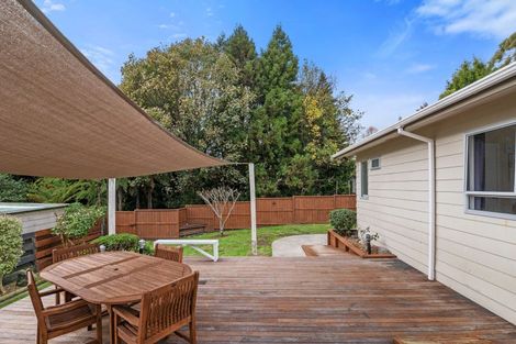 Photo of property in 49 Orion Street, Sunnybrook, Rotorua, 3015