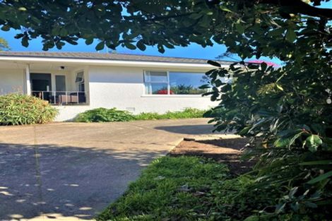 Photo of property in 32b Thirteenth Avenue, Tauranga South, Tauranga, 3112