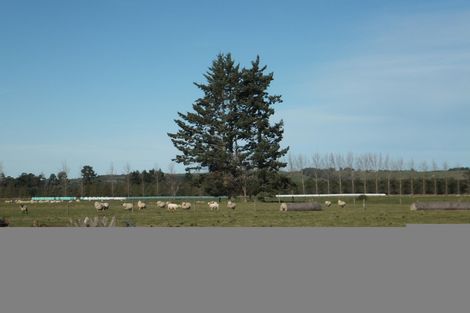 Photo of property in 675 Woodbury Road, Woodbury, Geraldine, 7991