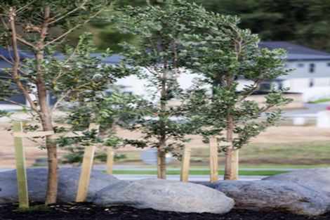 Photo of property in 8 Rivercove Lane, Flagstaff, Hamilton, 3210