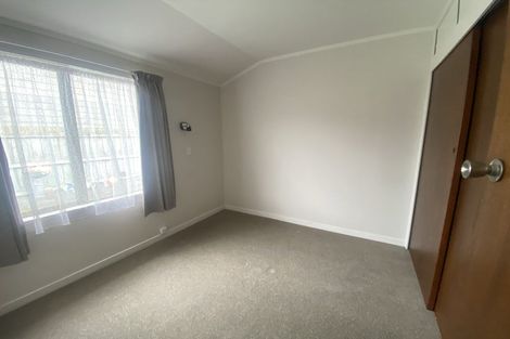 Photo of property in 306 Ulster Street, Whitiora, Hamilton, 3200