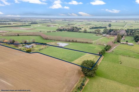 Photo of property in 216 Ryal Bush Wallacetown Road, Branxholme, Invercargill, 9876