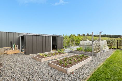 Photo of property in 20 Traverse Lane, Omokoroa, 3114