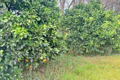 Photo of property in 3043 Far Road North, Waiharara, Kaitaia, 0484