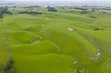 Photo of property in 234 Sandon Road, Feilding, 4779