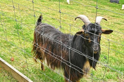 Photo of property in 15 Ashton Warner Way, Whitemans Valley, Upper Hutt, 5371