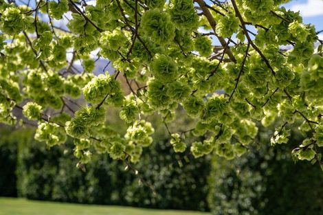 Photo of property in 48 Rutherford Road, Lake Hayes, Queenstown, 9371