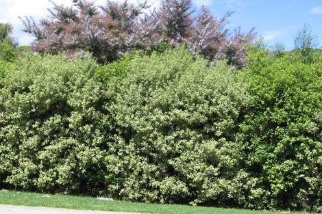 Photo of property in 16a Beulah Avenue, Rothesay Bay, Auckland, 0630