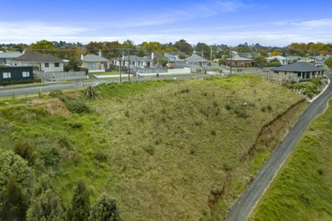Photo of property in 286 Frankley Road, Ferndale, New Plymouth, 4310