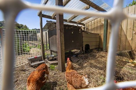 Photo of property in 66 Massey Street, Kawerau, 3127