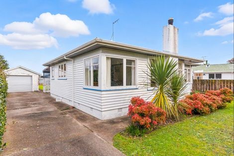 Photo of property in 45 Duke Street, Levin, 5510